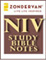 NIV Study Bible Notes