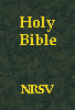New Revised Standard Verion (NRSV)