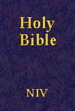 New International Version - NIV