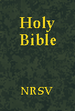 New Revised Standard Version - NRSV