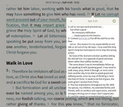 Look Inside: LifeConnect Study Bible - Olive Tree Blog