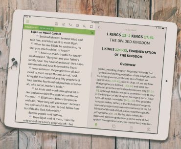 Look Inside New Interpreter's Bible Commentary