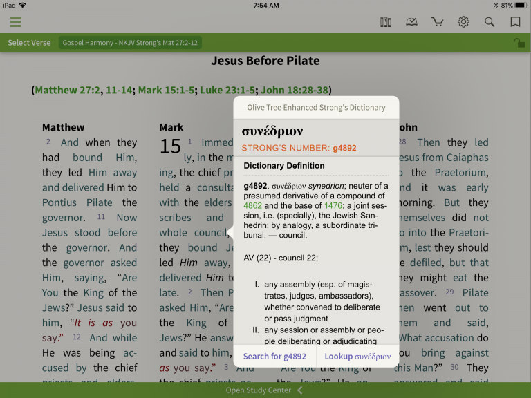 greek interlinear bible app for nasb