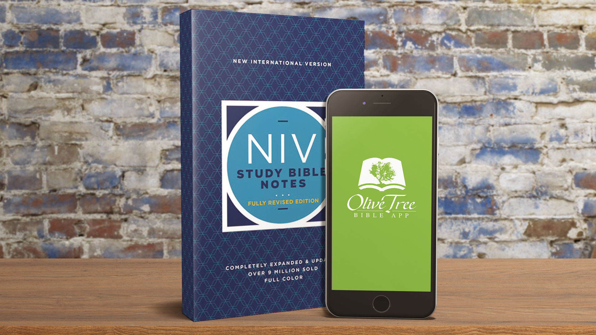 NIV Study Bible Fully Revised