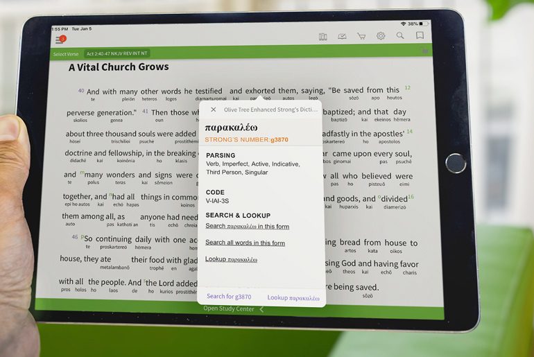 Interlinear Bibles In The App - Olive Tree Blog