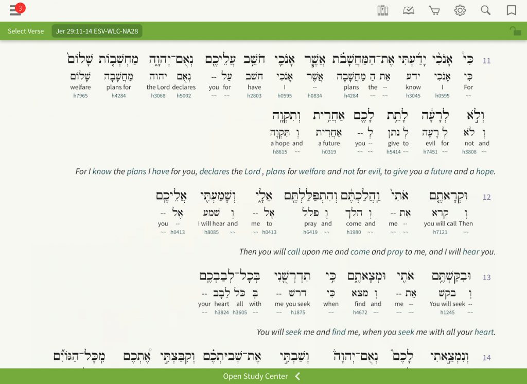 How To Use An Interlinear Bible Olive Tree Blog