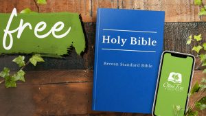 Look Inside: Berean Standard Bible – Olive Tree Blog