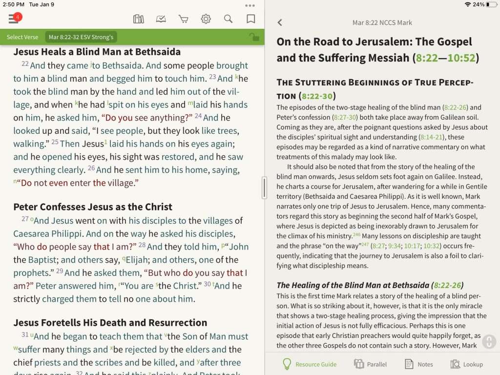 Look Inside: The New Covenant Commentary Series – Olive Tree Blog