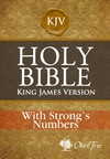 King James Version with Strong's Numbers - KJV Strong's
