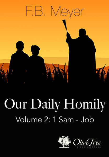 Our Daily Homily, Vol 2 (1 Sam - Job)