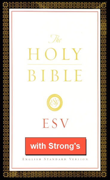 esv bible translation