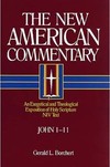 New American Commentary — John 1-11 (NAC)