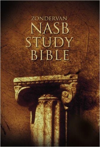 top rated nasb audio bible