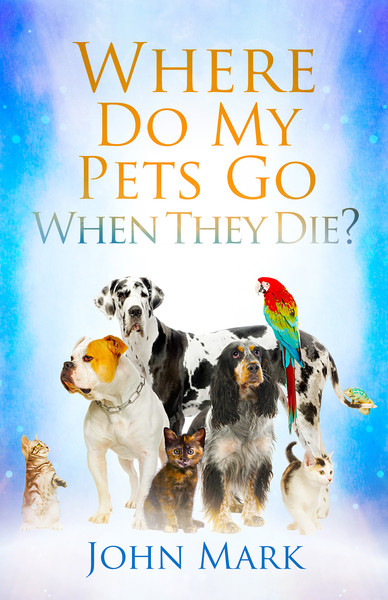 Where Do My Pets Go When They Die Olive Tree Bible Software