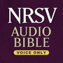 NRSV Audio Bible-Voice Only: New Testament