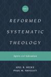 Reformed Systematic Theology: Volume 3: Spirit and Salvation