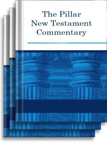 Pillar New Testament Commentary 6冊