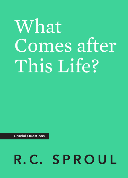 What Comes after This Life?