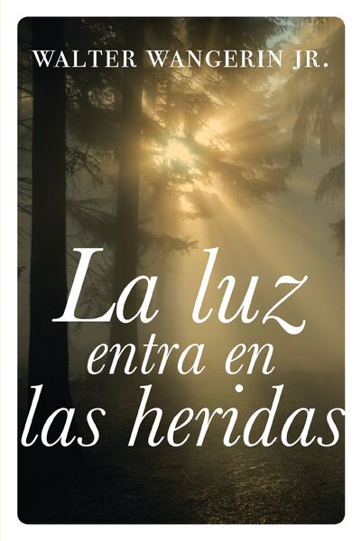 luz entra en las heridas: Historias sobre la gracia divina de Dios