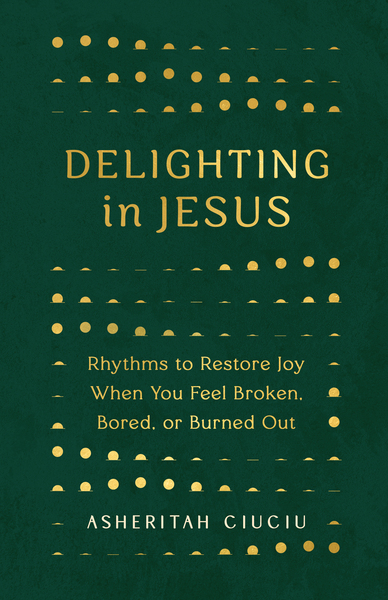 Delighting in Jesus: Rhythms to Restore Joy When You Feel Burdened, Broken,  or Burned-Out