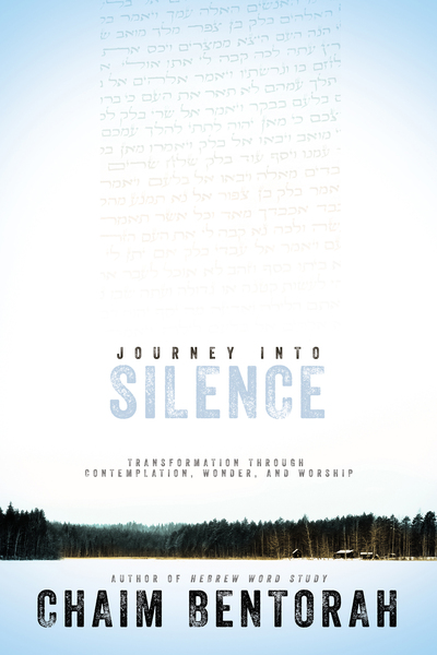 Journey into Silence: Transformation Through Contemplation, Wonder, and Worship