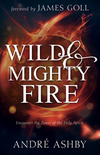 Wild and Mighty Fire: Encounter the Power of the Holy Spirit