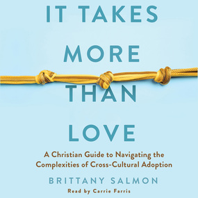 It Takes More Than Love: A Christian Guide to Navigating the Complexities of Cross-Cultural Adoption